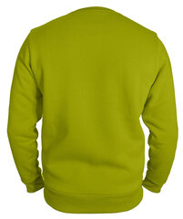 Džemperis vyrams Pantoneclo, žalias kaina ir informacija | Megztiniai vyrams | pigu.lt