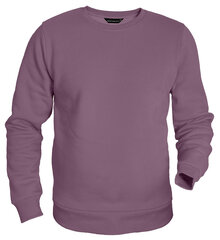 Džemperis vyrams Pantoneclo, violetinis цена и информация | Мужские свитера | pigu.lt