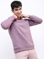 Džemperis vyrams Pantoneclo, violetinis kaina ir informacija | Megztiniai vyrams | pigu.lt