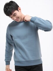 Džemperis vyrams Pantoneclo, mėlynas kaina ir informacija | Megztiniai vyrams | pigu.lt