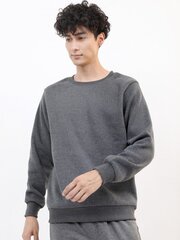 Džemperis vyrams Pantoneclo, pilkas цена и информация | Мужские свитера | pigu.lt