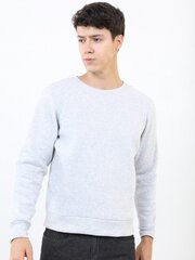 Pantoneclo džemperis vyrams, pilkas kaina ir informacija | Džemperiai vyrams | pigu.lt