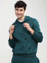 Džemperis vyrams Pantoneclo, žalias kaina ir informacija | Džemperiai vyrams | pigu.lt