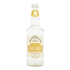 Gazuotas gaivusis gėrimas Fentimans Premium Indian Tonic, 0,5 l kaina ir informacija | Gaivieji gėrimai | pigu.lt