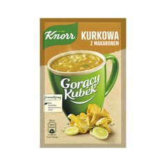 Быстрорастворимый суп с лисичками и лапшой Knorr, 13 г цена и информация | Супы, бульоны | pigu.lt