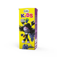 Vynuogių nektaras Cido Kids Trolls, 0,2 l kaina ir informacija | Sultys, nektarai ir sulčių gėrimai | pigu.lt