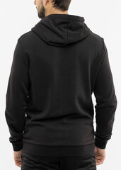 Džemperis vyrams Puma ESS+ 2 Col Big Logo Hoodie TR 586765 59 цена и информация | Мужской джемпер | pigu.lt