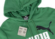 Džemperis vyrams Puma ESS+ 2 Col Big Logo Hoodie TR 586765 86 цена и информация | Megztiniai vyrams | pigu.lt