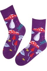 Kojinės moterims, violetinės kaina ir informacija | Moteriškos kojinės | pigu.lt