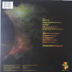 Vinilinė plokštelė Easy Star All-Stars Dub Side Of The Moon цена и информация | Виниловые пластинки, CD, DVD | pigu.lt