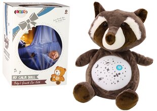 Pliušinis meškėnas miegui su garso ir šviesos efektais Lean Toys kaina ir informacija | Minkšti (pliušiniai) žaislai | pigu.lt