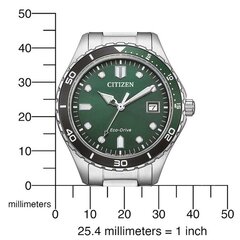 Citizen Eco-Drive AW1828-80X AW1828-80X цена и информация | Женские часы | pigu.lt