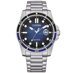 Citizen Eco-Drive AW1810-85L AW1810-85L цена и информация | Женские часы | pigu.lt