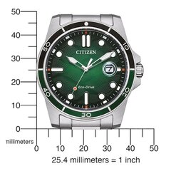 Citizen Eco-Drive AW1811-82X AW1811-82X цена и информация | Женские часы | pigu.lt