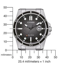 Citizen Eco-Drive AW1816-89E AW1816-89E цена и информация | Женские часы | pigu.lt