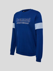 Džemperis vyrams Hummel Hmllgc Bryce, mėlynas kaina ir informacija | Džemperiai vyrams | pigu.lt