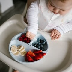 Силиконовая тарелка на присоске BabyOno 1482/01, синяя, 6+ мес., 1 шт. цена и информация | Детская посуда, контейнеры для молока и еды | pigu.lt