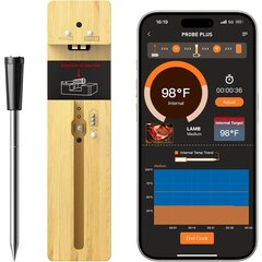 Термометр для мяса с Bluetooth Lonnmeter AT613 цена и информация | Особенные приборы для приготовления пищи | pigu.lt