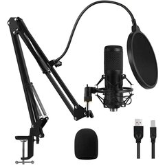 Комплект микрофона с гибким кронштейном цена и информация | Микрофоны | pigu.lt