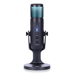 Настольный USB-микрофон Harmony Hill's AT670 цена и информация | Микрофоны | pigu.lt
