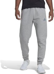 Laisvalaikio kelnės vyrams Adidas HP1949, pilkos kaina ir informacija | Sportinė apranga vyrams | pigu.lt
