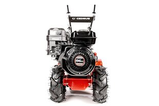 Бензиновый культиватор для почвы Cedrus Loncin H200 48 см цена и информация | Культиваторы, мотоблоки, аэраторы | pigu.lt