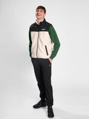 Liemenė vyrams Hummel Hmllgc Theo Fleece, juodas/smėlio splavos цена и информация | Мужские толстовки | pigu.lt