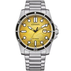 Citizen Eco-Drive AW1816-89X AW1816-89X цена и информация | Женские часы | pigu.lt