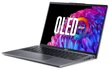 Acer Swift Go 14 SFG14-63 (NX.KTSEP.005) цена и информация | Nešiojami kompiuteriai | pigu.lt