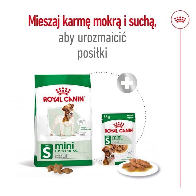 Royal Canin Adult Mini S suaugusiems mažų veislių šunims, 8 kg kaina ir informacija | Sausas maistas šunims | pigu.lt