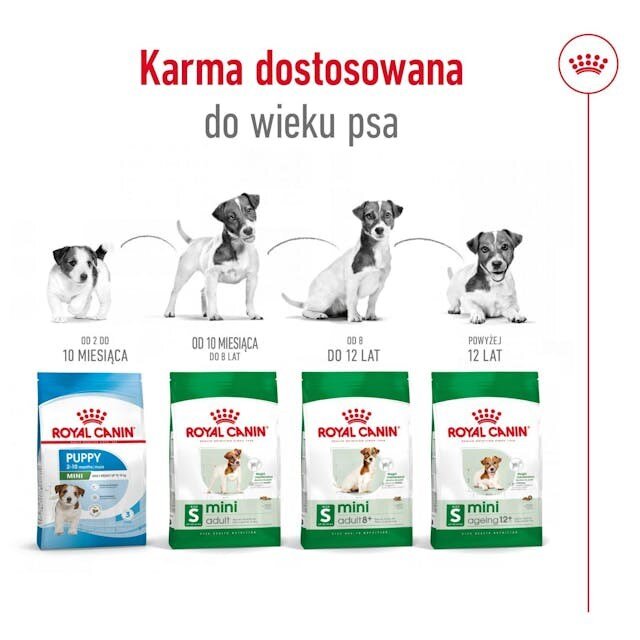 Royal Canin Adult Mini S suaugusiems mažų veislių šunims, 8 kg kaina ir informacija | Sausas maistas šunims | pigu.lt