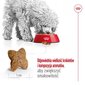 Royal Canin Adult Mini S suaugusiems mažų veislių šunims, 8 kg kaina ir informacija | Sausas maistas šunims | pigu.lt