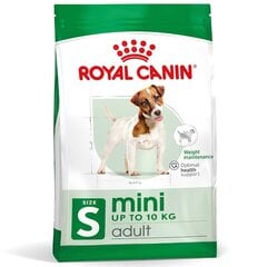 Royal Canin Adult Mini S suaugusiems mažų veislių šunims, 8 kg kaina ir informacija | Sausas maistas šunims | pigu.lt