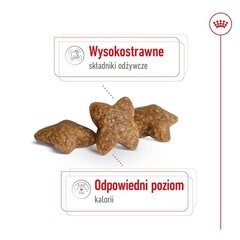 Royal Canin Adult Mini S suaugusiems mažų veislių šunims, 8 kg цена и информация | Сухой корм для собак | pigu.lt