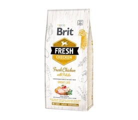 Brit Fresh Chicken with Potato Adult šunims, 2,5 kg kaina ir informacija | Sausas maistas šunims | pigu.lt