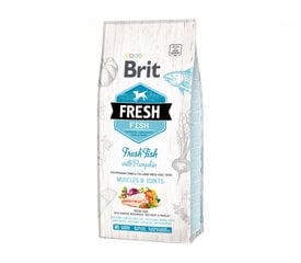 Brit Fresh Fish with Pumpkin Adult Large didelių veislių šunims, 2,5 kg kaina ir informacija | Sausas maistas šunims | pigu.lt