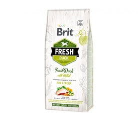 Brit Fresh Duck with Millet Active Run&Work aktyviems šunims, 2,5 kg kaina ir informacija | Sausas maistas šunims | pigu.lt