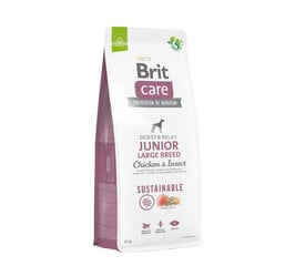 Brit Care Sustainable Junior Large Breed Chicken&Insect didelių veislių šunims, 12 kg kaina ir informacija | Sausas maistas šunims | pigu.lt