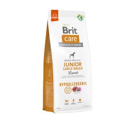 Brit Care Hypoallergenic Junior Large Breed Lamb hipoalerginis didelių veislių šunims, 12 kg kaina ir informacija | Sausas maistas šunims | pigu.lt