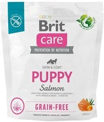 Brit Care Grain-free Puppy Salmon begrūdis, šuniukams, 1 kg kaina ir informacija | Sausas maistas šunims | pigu.lt