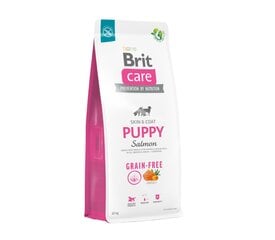 Brit Care Grain-free Puppy Salmon begrūdis, šuniukams, 12 kg kaina ir informacija | Sausas maistas šunims | pigu.lt