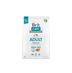 Brit Care Grain-free Adult Salmon begrūdis, šunims, 3 kg kaina ir informacija | Sausas maistas šunims | pigu.lt