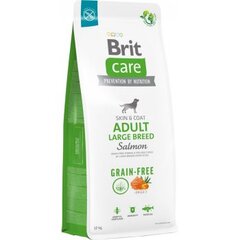 Brit Care Grain-free Adult Large Breed Salmon begrūdis, didelių veislių šunims, 12 kg kaina ir informacija | Sausas maistas šunims | pigu.lt