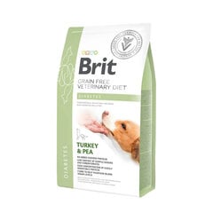 Brit GF Veterinary Diets Dog Diabetes begrūdis, diabetu sergantiems šunims, 2 kg kaina ir informacija | Sausas maistas šunims | pigu.lt