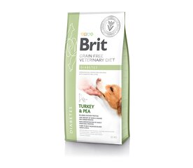 Brit GF Veterinary Diets Dog Diabetes begrūdis, diabetu sergantiems šunims, 12 kg kaina ir informacija | Sausas maistas šunims | pigu.lt