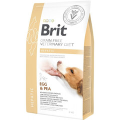 Brit GF Veterinary Diets Dog Hepatic begrūdis, šunims su sutrikusia kepenų funkcija, 2 kg kaina ir informacija | Sausas maistas šunims | pigu.lt