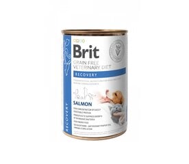 Brit GF Veterinary Diets Rsveikstantiems šunims ir katėms, 0,4 kg kaina ir informacija | Sausas maistas šunims | pigu.lt