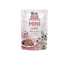 Brit Care Mini Puppy Lamb fillets in гravy влажный корм для щенков мелких пород, 85 г x 24 цена и информация | Консервы для собак | pigu.lt