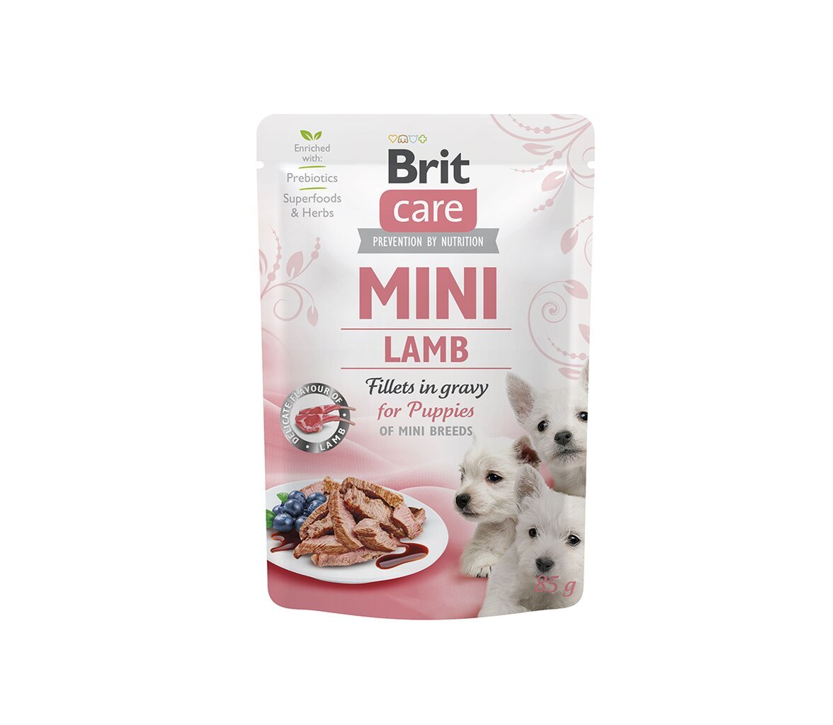 Brit Care Mini Puppy Lamb fillets in gravy konservai mažų veislių šuniukams, 24x85 g цена и информация | Konservai šunims | pigu.lt