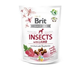 Brit Care Crunchy Cracker Insects with Lamb лакомства для собак, 200 g x 4 цена и информация | Лакомства для собак | pigu.lt